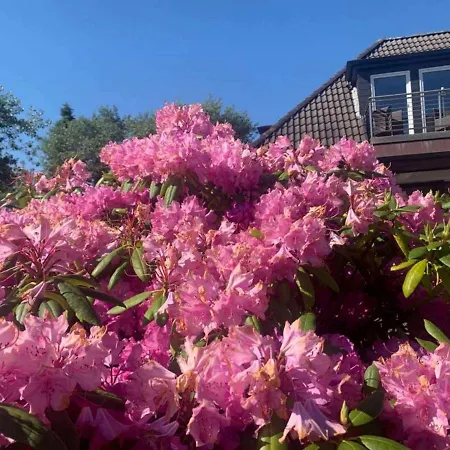Duena 4 Wangerooge